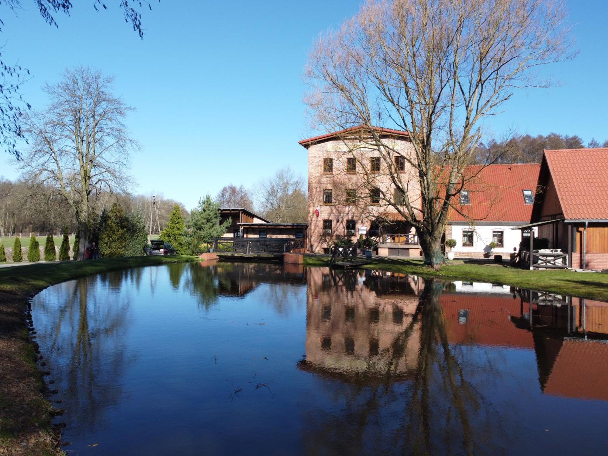 Stary Mlyn W Brzeznicy Villa Brzeznica  Exteriör bild