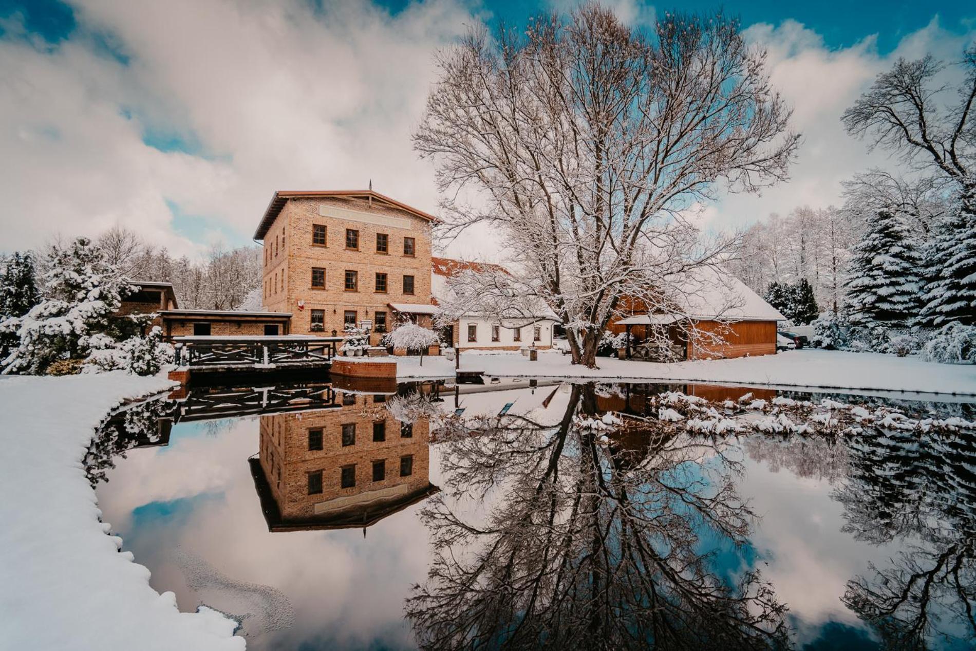 Stary Mlyn W Brzeznicy Villa Brzeznica  Exteriör bild